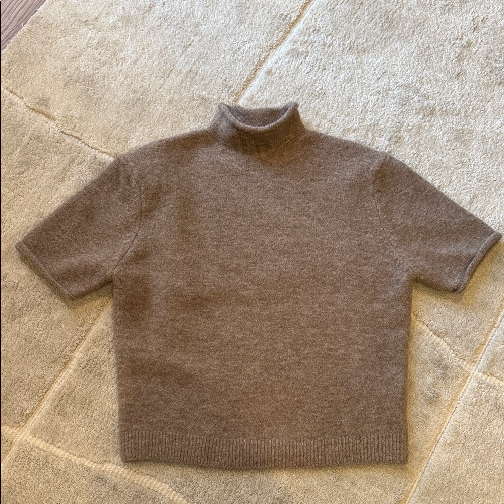 Zara short sleeve mockneck Brown Turtleneck Sweater